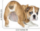 English Bulldog Puppy bottom up Wall Decal