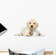 Labrador Retriever Puppy Wall Decal