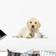 Labrador Retriever Puppy Wall Decal