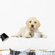 Labrador Retriever Puppy Wall Decal