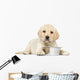 Labrador Retriever Puppy Wall Decal