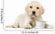 Labrador Retriever Puppy Wall Decal