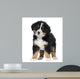 Bernese Mountain Dog Puppy Wall Decal