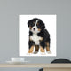 Bernese Mountain Dog Puppy Wall Decal