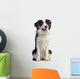 Australian Shepherd Dog Wall Decal