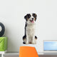 Australian Shepherd Dog Wall Decal