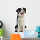 Australian Shepherd Dog Wall Decal