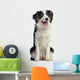 Australian Shepherd Dog Wall Decal