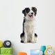 Australian Shepherd Dog Wall Decal