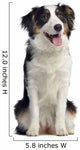 Australian Shepherd Dog Wall Decal
