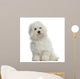 Bichon Frisa 5 Months Wall Decal