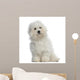 Bichon frisÃ©, 5 months old, sitting, isolated on white Wall Decal