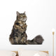 Maine coon cat, sitting and looking up, isolated on white Wall Decal