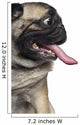 Silly Panting Pug Wall Decal