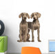 Two Weimaraner puppies, 2,5 months old, sitting and standing Wall Decal