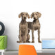 Two Weimaraner puppies, 2,5 months old, sitting and standing Wall Decal