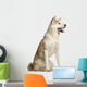 Akita Inu Dog Wall Decal