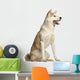 Akita Inu Dog Wall Decal