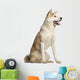 Akita Inu Dog Wall Decal