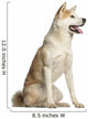 Akita Inu Dog Wall Decal