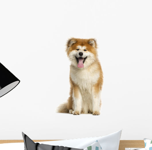 Akita Inu Dog Wall Decal