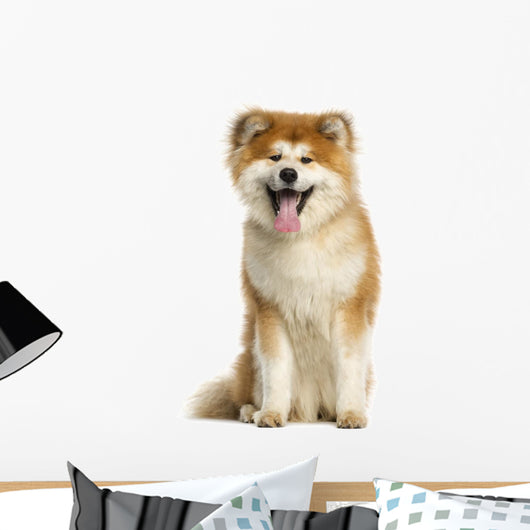 Akita Inu Dog Wall Decal