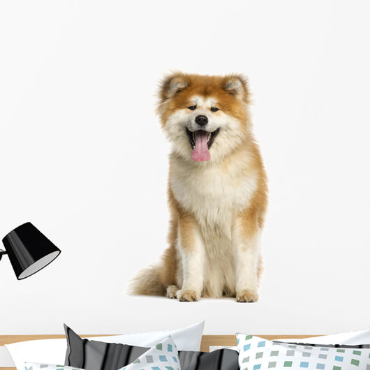 Akita Inu Dog Wall Decal