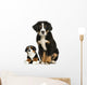 Young Bernese Mountain dog sitting with teddy bear Wall Decal