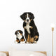 Young Bernese Mountain dog sitting with teddy bear Wall Decal