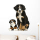 Young Bernese Mountain dog sitting with teddy bear Wall Decal
