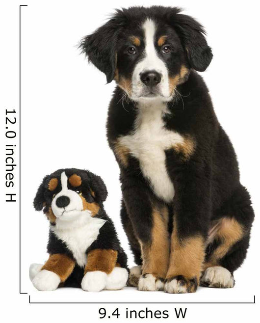 Young Bernese Mountain dog sitting with teddy bear Wall Decal