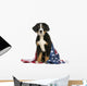 Young Bernese Mountain dog sitting with american flag Wall Decal