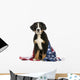 Young Bernese Mountain dog sitting with american flag Wall Decal