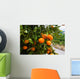 Orange Tree in Spain Wall Mural