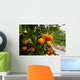 Orange Tree in Spain Wall Mural