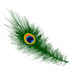 Peacock feather Wall Decal