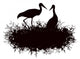 Stork Nest Wall Decal