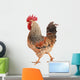 rooster Wall Decal