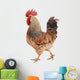 rooster Wall Decal