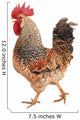 rooster Wall Decal