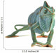 Chamaeleo Calyptratus