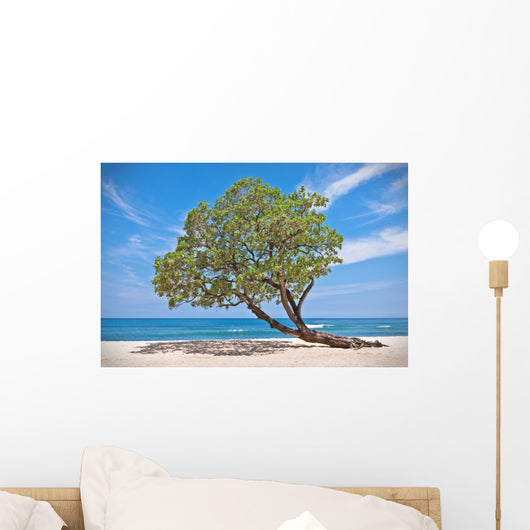 Lonely Tree Beach Wall Mural