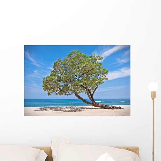 Lonely Tree Beach Wall Mural
