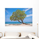 Lonely Tree Beach Wall Mural