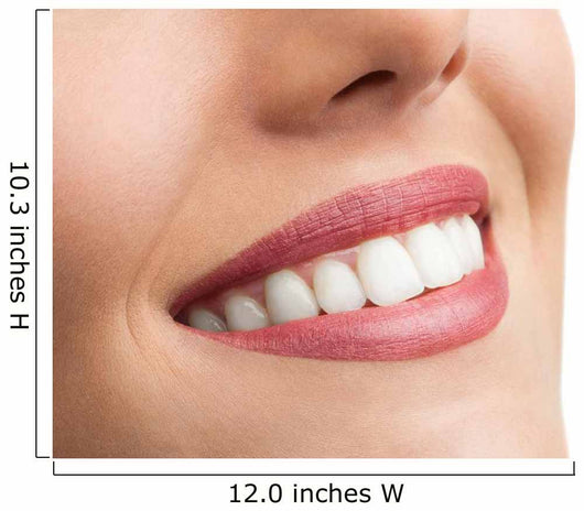 Macro up Perfect Teeth