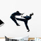 Karate Vietvodao Martial Arts