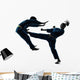 Karate Vietvodao Martial Arts