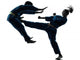 Karate Vietvodao Martial Arts