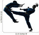 Karate Vietvodao Martial Arts