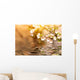 Cherry Tree Branch Over the Water Wall Mural